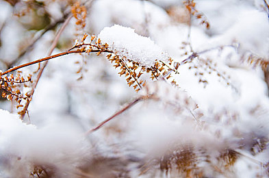人人爽歪歪｜畅游棋牌乐园，欢乐斗地主助你思维飞扬-3