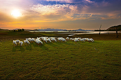 京东影业jd008苏小小|京东影业JD008苏小小:传奇影后演艺生涯与生活点滴-1