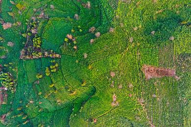 身份证号大全实名｜信用守护者：实名制下的信息安全之旅-1