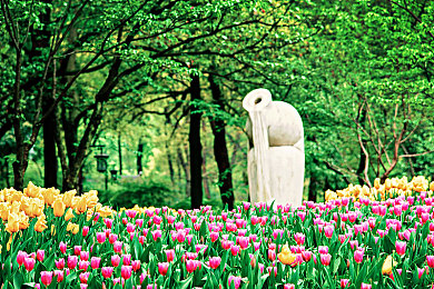 黄色软件3.0.3免费下载|娱乐社交资讯,免费畅享“黄色软件3.0.3”新体验-3