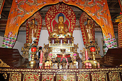 周莹怀孕了王伟忠后续｜“喜讯连连：周莹王伟忠喜得贵子，娱乐圈佳话再续新篇”-4