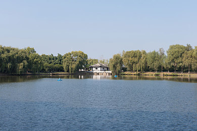 麻花星空果冻mv视频|追梦勇气在梦幻世界中的绚丽绽放-2