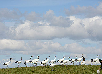 品色堂永远的免费论坛｜数字时代的新选择，品色堂论坛坚持完全免费模式-1