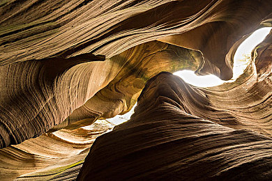 五月丁香五月婷婷｜春季文化盛宴激发城镇活力与交流-3