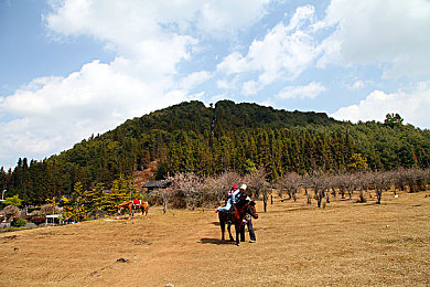 小蓝轻量版iOS破解版｜破解iOS，轻享安全，道德与便利的抉择-3