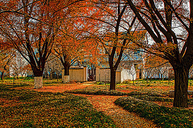 51吃瓜群众朝阳群众网｜网络舆论新势力崛起：51吃瓜群众朝阳群众网引领公众参与与正能量传播-1