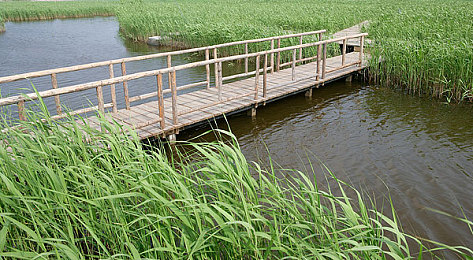 麻花传M0044苏蜜清歌|传统与现代交融,智慧独立女性传奇-4