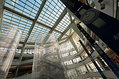 冲哥黑料折耳猫不呼吸｜趣味互动，笑点满满：探秘“冲哥黑料”欢乐视频世界-3