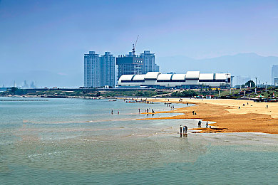 国产麻豆剧传媒精品国产AV杜鹃｜人性蜕变之路，探索梦想与现实的纠葛-2