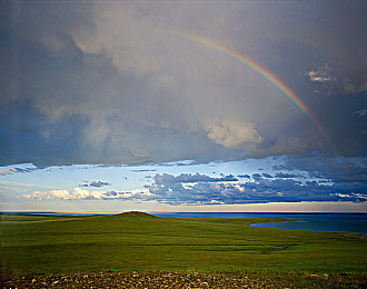 龙物官网yw193｜龙物官网焕新启航，AI赋能打造个性化网络新纪元