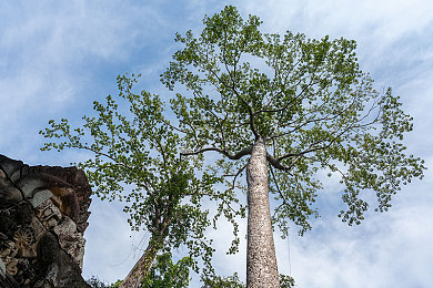 小蓝轻量版 iOS 安装包｜轻装体验，畅游未来——小蓝轻量版iOS，速度与安全并存-3