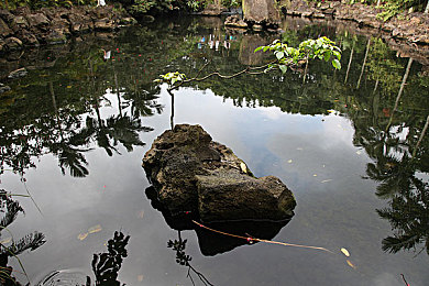 palipali线路检测3｜安全护航，palipali线路升级之旅-3