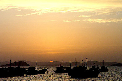 操逼小软件｜低俗应用引发舆论风暴，专家呼吁加强监管-4