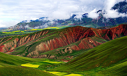 铜铜钢铿锵锵锵锵锵锵锵免费｜“铜铜钢助力，千树共筑绿意盎然家园”-2