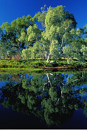 ass鲜嫩pics｜网络热词“ass鲜嫩pics”走红：探讨多元审美与青少年心理健康挑战