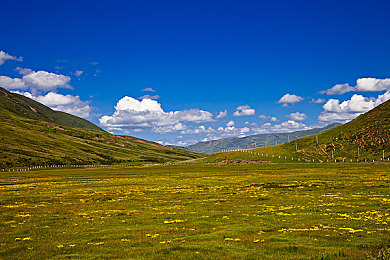 全彩AGG  无翼色哟哟｜探索全彩AGG无翼色哟哟：数字艺术新宠，水墨与现代交融的视觉盛宴-4