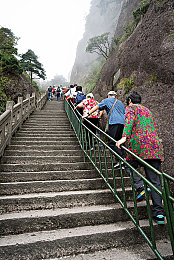 鉴定师免费看片视频软件｜视频软件崛起伴随版权与隐私危机引发热议-1