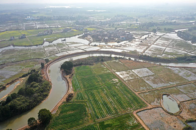 黄三色是哪三色颜色搭配图片｜色彩交响曲：黄三色艺术融合的视觉盛宴-2