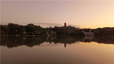 向日葵草莓丝瓜樱桃秋葵绿巨人｜绿色滋养，健康生活新风向标-1