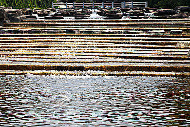 黄色软件app下载3.0.3免费装妆2025|美妆达人必备,"黄色软件APP"焕新妆容之旅-3