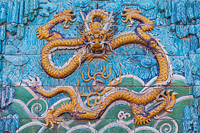 人人看人人干｜团结抗疫，全民行动：共筑健康防线