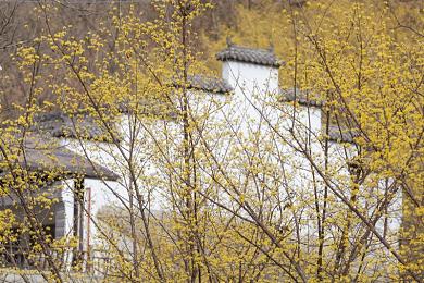 黄色aPP下载3.0.3免费2024|揭秘免费新篇章:3.0.3版‘黄色APP’引领便捷生活新潮流-2