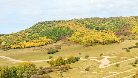 4399最好看的日本电影|4399揭晓日本电影佳作排行:经典新锐齐飞,哪些影片脱颖而出?-3