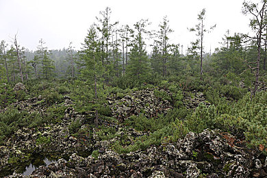 404软件安装入口|时空探险之旅:解锁404神秘游戏世界的钥匙-3
