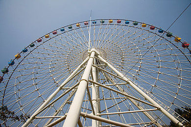 妈妈去世后我满足爸爸姓要求｜血脉相连，姓氏传承，温情延续-2