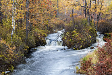 巴西肥婆BBWBBwBBw｜消除歧视，拥抱多元：尊重人权，共筑和谐之梦-4