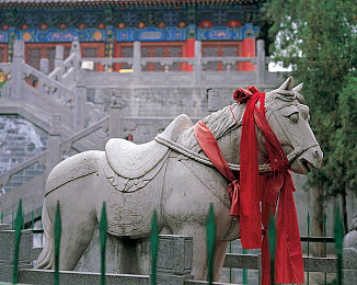 clash机场订阅｜畅游网络，隐私无忧——Clash机场订阅，高速稳定体验-3