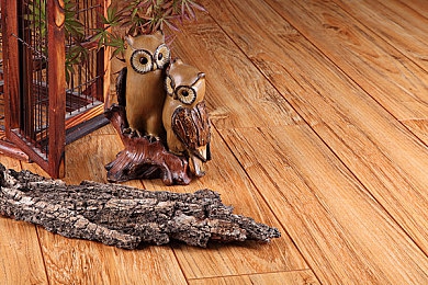 啊～贺朝你tm别 了麻豆｜“独特创意引爆营销新潮流：“啊～贺朝你tm别了麻豆”助力品牌焕发新生-2