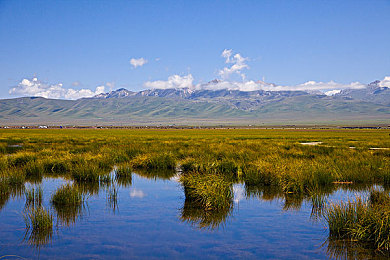 揉 啊 嗯~出水了动漫|惊悚画风与深刻主题碰撞:揭秘“揉 啊 嗯~出水了动漫”火爆原因-1
