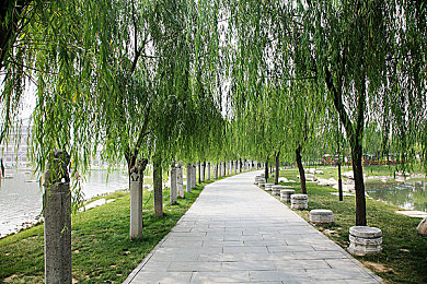 不知火舞和三小男孩在森林公园猜数字谜｜“森林公园数字谜游戏引关注：动漫人物助力传统文化传承，寓教于乐激发小朋友数学兴趣”-1