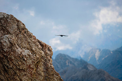 美女不穿衣服app｜时尚裸妆先锋，个性穿搭新纪元-2