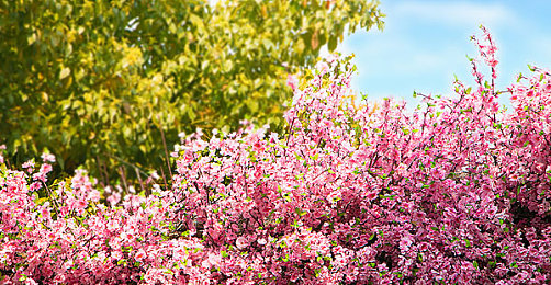 打扑克不盖被子的软件｜清醒游戏新伙伴：打扑克不盖被子软件助玩家活力全开-2