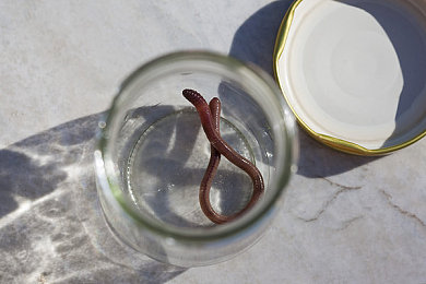 GAyGAYGAyGAyGAy肥又大｜畅享互动乐趣，定制你的“GAyGAYGAyGAyGAy肥又大”智能生活-3