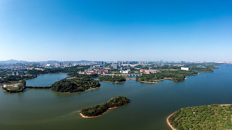 天天色综｜视觉盛宴中的色彩光影，探秘“天天色综”美学之旅-3