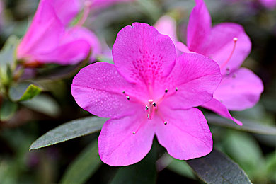 汤不热vlog破解版免费版|破解版免费应用激战汤不热:用户权益与平台规则冲突引发热议-4