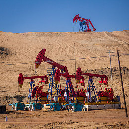 天天综合网天天综合色｜“一网尽览，个性化定制：揭秘‘天天综合网’一站式魅力”-3