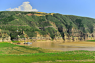 40岁阿姨荒野大镖客最新上映｜西部风情重燃经典，40岁阿姨观影成社会热议焦点-2