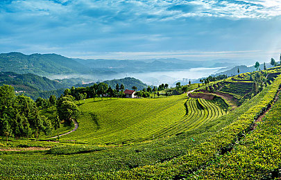 黑料网站免费入口在线观看｜揭秘网络暗流：免费入口背后的黑料网站陷阱，警惕信息泄露风险-2