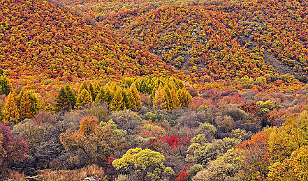 免费w视频带叫的免费聊天|无界限沟通新体验:免费W视频带叫引领视频聊天革命-2