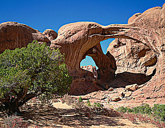 天涯pro官网色板｜天涯Pro官网色板：打造个性化视觉盛宴，助力网站设计新潮流