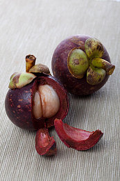 缅甸北部恐怖血腥网站进入免费｜揭秘：免费畅享缅甸北部恐怖血腥网站，高清资源等你探索