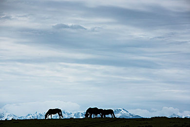 女版超人满天星｜“女版超人满天星：无畏奉献，点亮困境中的希望之光”-3