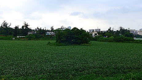 打女高中生╳光屁股｜青春校园冒险之旅：体验《打女高中生╳光屁股》的模拟经营魅力-3