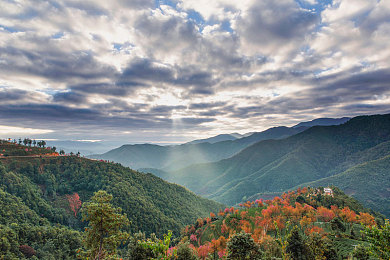 动漫小舞露小奶头 的漫画软件｜《小舞露小奶头》官方漫画软件盛大上线，互动新平台粉丝狂欢-2