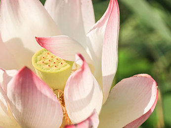 男男公同志厕公厕GayGAyGay|男男公厕体验升级:人性化设计打造专属空间,提升公共设施品质-2