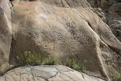 含羞草APP｜含羞草APP走红：隐私保护创新社交，引领潮流新篇章-4